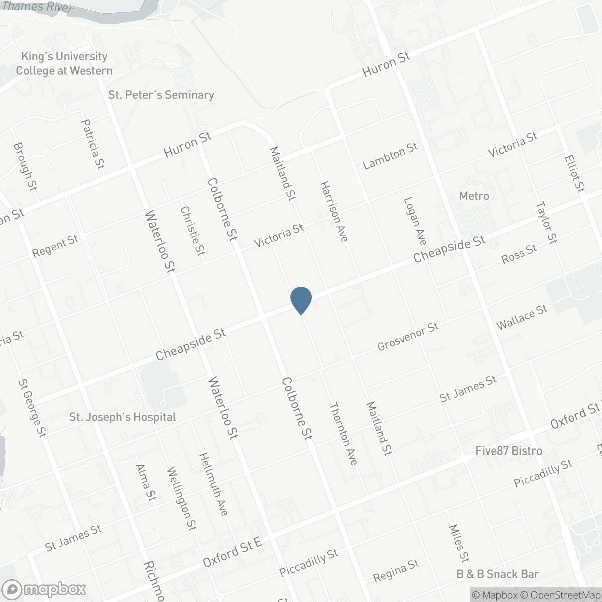 361 CHEAPSIDE STREET, London, Ontario N5Y 3W8